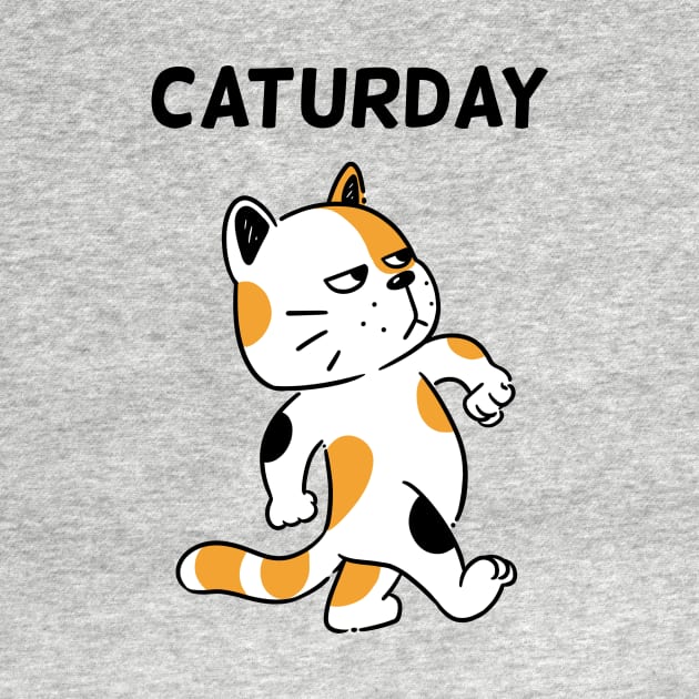 Caturday by Onefacecat